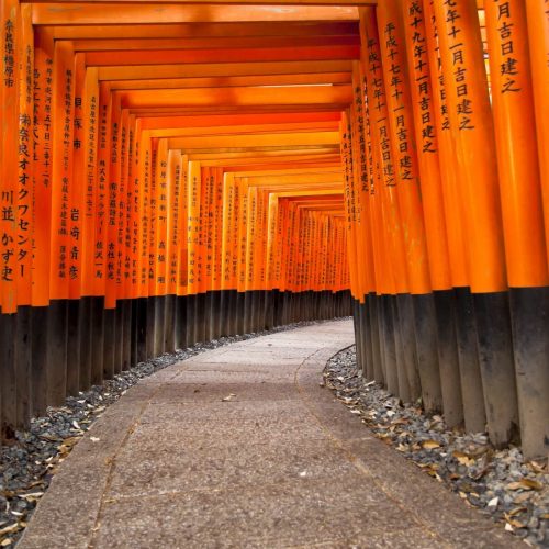 Långa gångar av torii gates